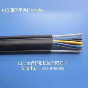 늄�(d��ng)���J������|  Longhui Company electric hoist control cable